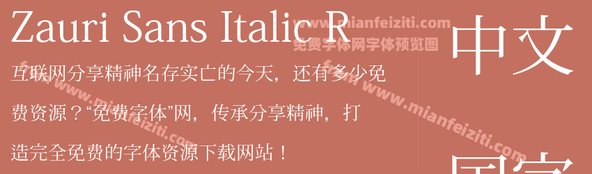 Zauri Sans Italic R预览图1