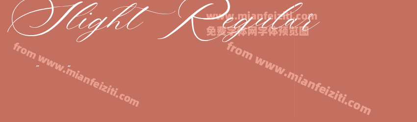 Slight Regular预览图1
