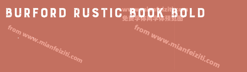 Burford Rustic Book Bold预览图1