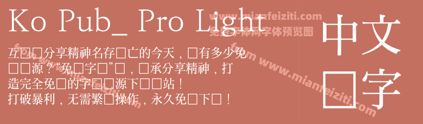Ko Pub_ Pro Light预览图1