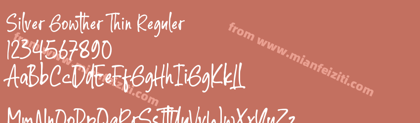 Silver Gowther Thin Reguler预览图1