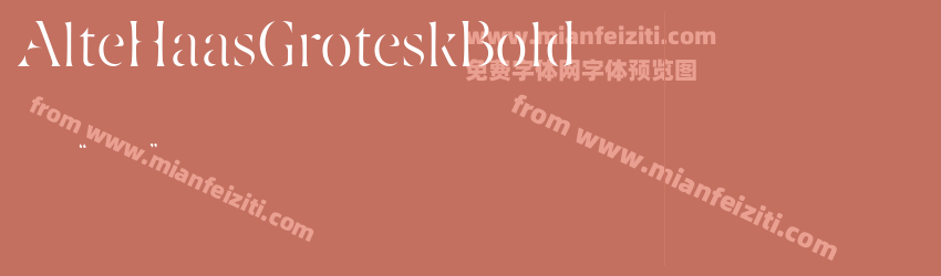 AlteHaasGroteskBold预览图1