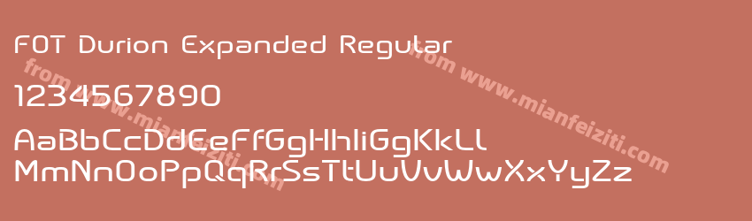 FOT Durion Expanded Regular预览图1