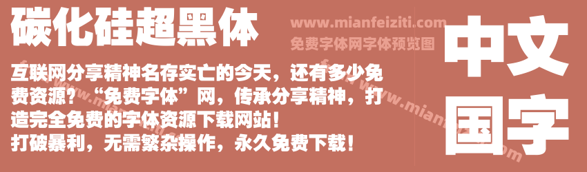 碳化硅超黑体预览图1