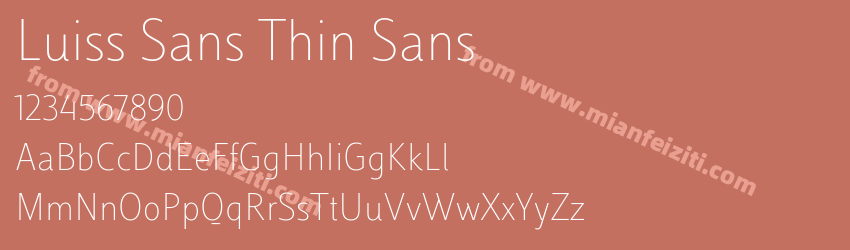 Luiss Sans Thin Sans预览图1