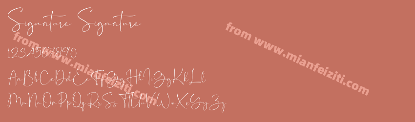 Signature Signature预览图1