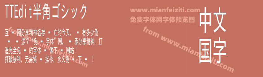 TTEdit半角ゴシック预览图1