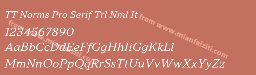 TT Norms Pro Serif Trl Nml It预览图1