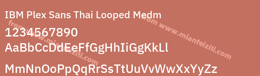 IBM Plex Sans Thai Looped Medm预览图1