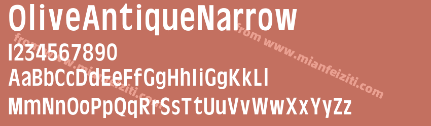 Olive Antique Narrow预览图1