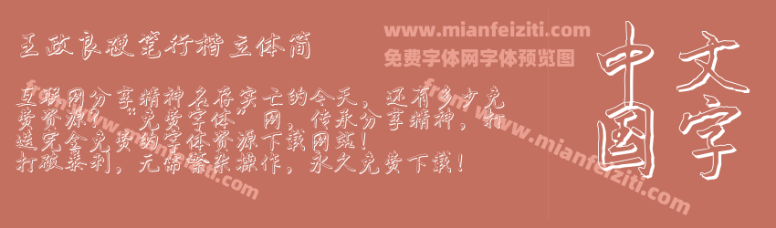 王政良硬笔行楷立体简预览图1