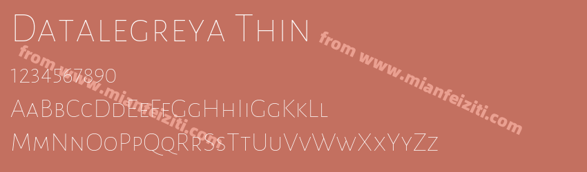 Datalegreya Thin预览图1