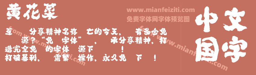 黄花菜预览图1