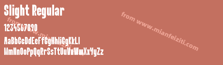 Slight Regular预览图1