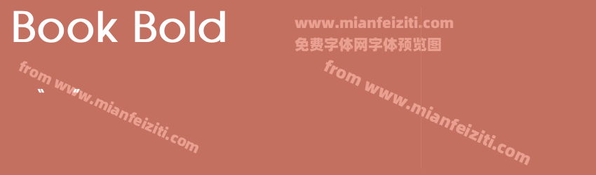 Avant Garde Book Bold预览图1