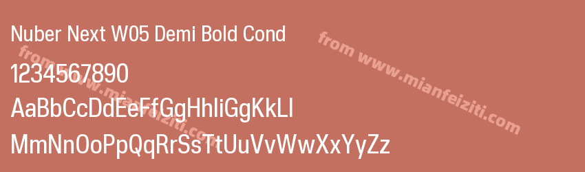 Nuber Next W05 Demi Bold Cond预览图1
