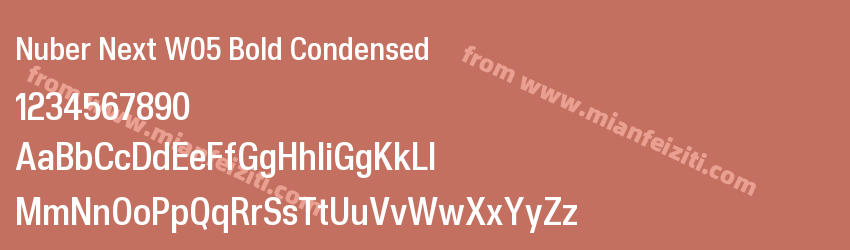Nuber Next W05 Bold Condensed预览图1