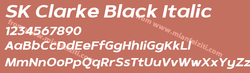 SK Clarke Black Italic预览图1