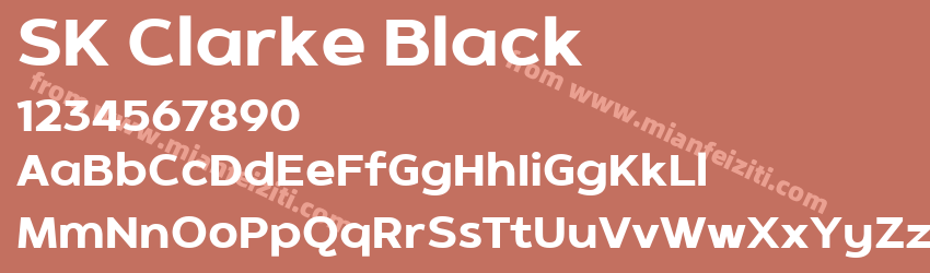 SK Clarke Black预览图1