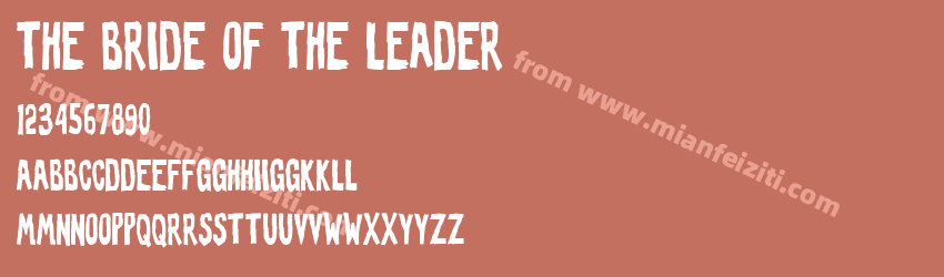 The Bride of the Leader预览图1