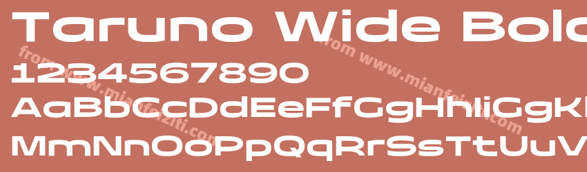 Taruno Wide Bold预览图1