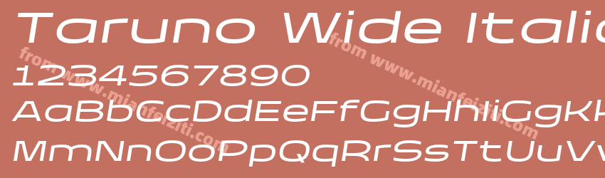 Taruno Wide Italic预览图1