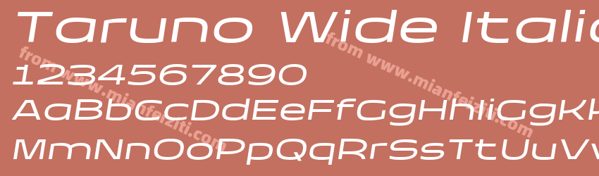 Taruno Wide Italic预览图1