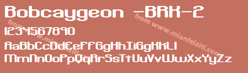 Bobcaygeon BRK 2预览图1