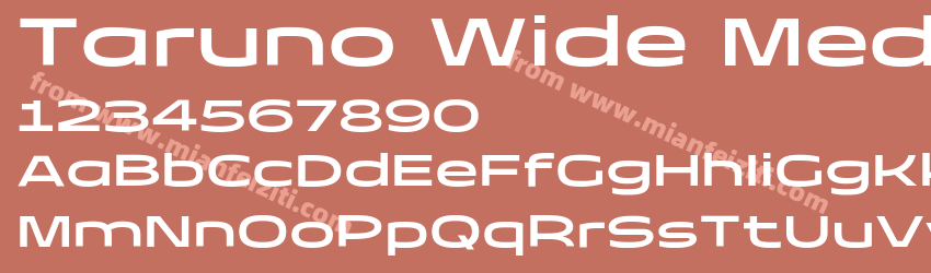 Taruno Wide Medium预览图1