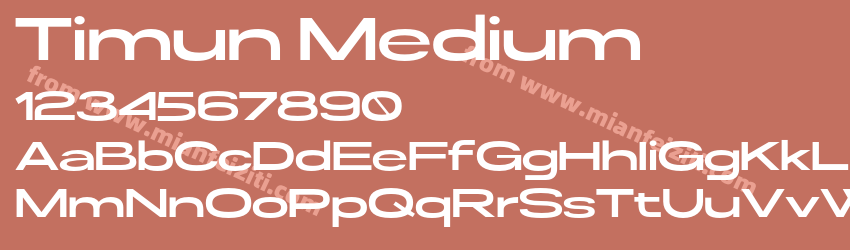 Timun Medium预览图1