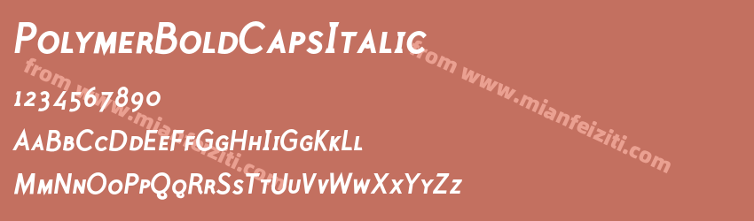 Polymer Bold Caps Italic预览图1
