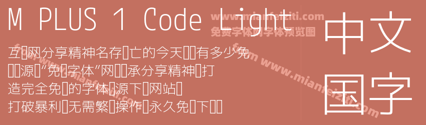 M PLUS 1 Code Light预览图1
