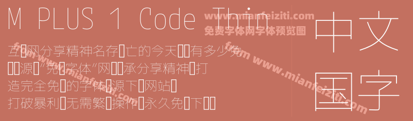 M PLUS 1 Code Thin预览图1