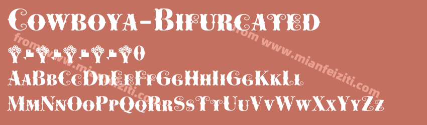 Cowboya Bifurcated预览图1