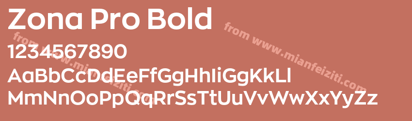Zona Pro Bold预览图1