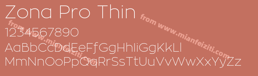 Zona Pro Thin预览图1
