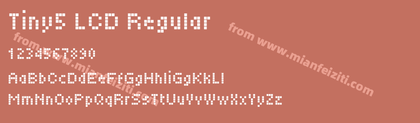 Tiny5 LCD Regular预览图1