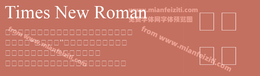 Times New Roman字体预览