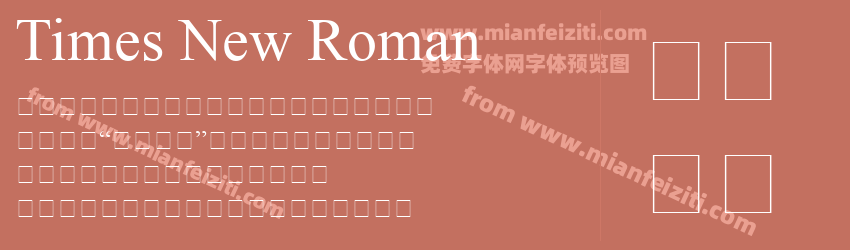 Times New RomanPSMT预览图1