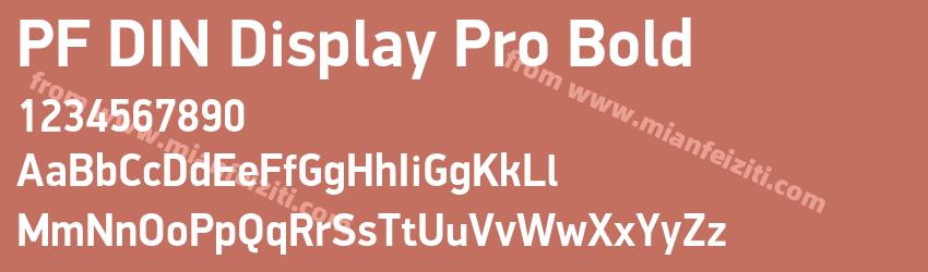 PF DIN Display Pro Bold预览图1
