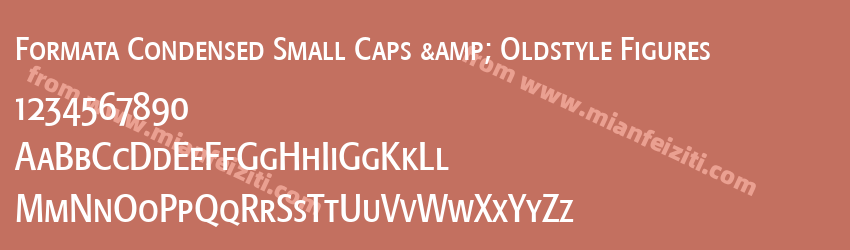 Formata Condensed Small Caps & Oldstyle Figures预览图1
