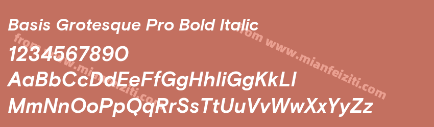 Basis Grotesque Pro Bold Italic预览图1