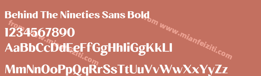 Behind The Nineties Sans Bold预览图1