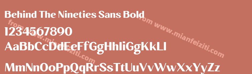 Behind The Nineties Sans Bold预览图1
