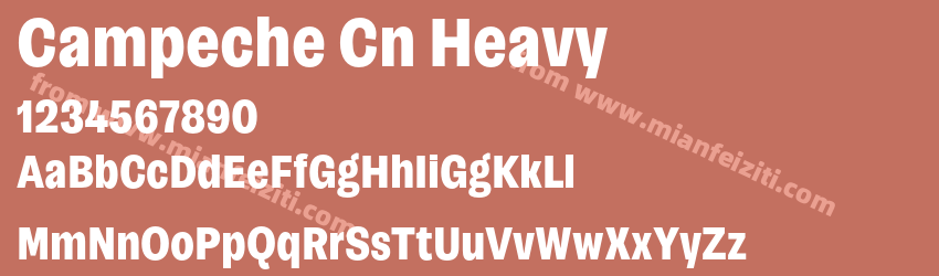Campeche Cn Heavy预览图1