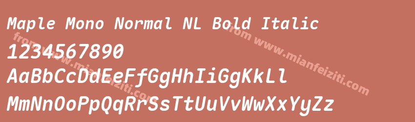 Maple Mono Normal NL Bold Italic预览图1