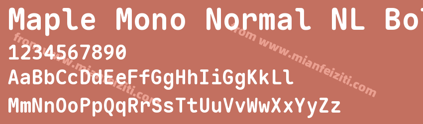 Maple Mono Normal NL Bold预览图1