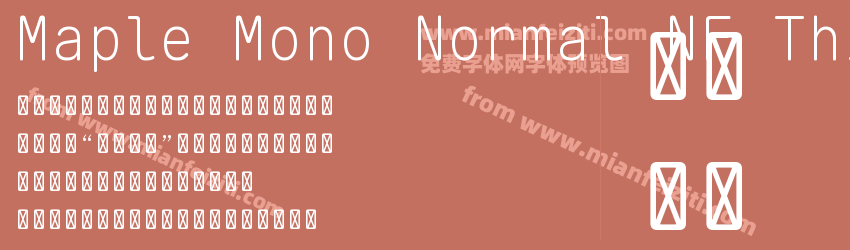 Maple Mono Normal NF Thin预览图1