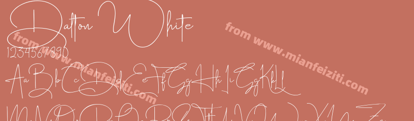 Dalton White预览图1