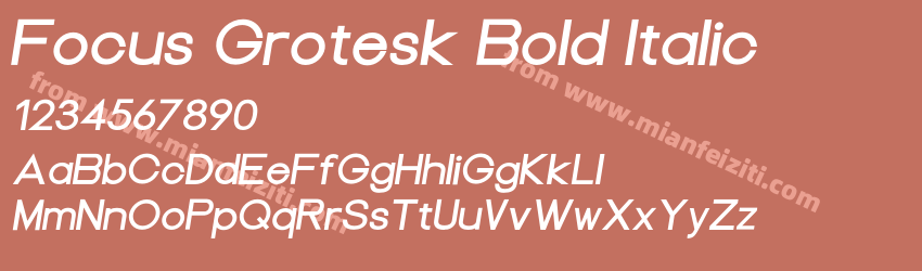 Focus Grotesk Bold Italic预览图1